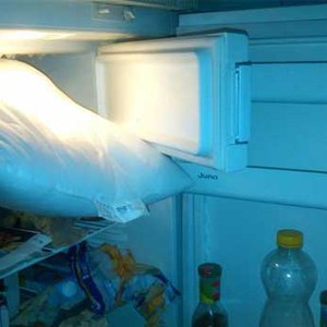 طرق غريبة وعجيبة لمكافحة موجة الحر