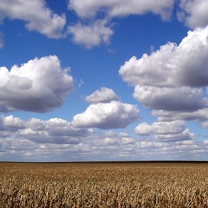 الإثنين: بداية ربيعية للنهار ونهاية بنكهة الشتاء