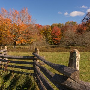 بلاد الشام | درجات الحرارة حول إلى أعلى من مُعدلاتها المعتادة بقليل.. وأجواء صيفية اعتيادية في الجبال وحارة نسبيًا في الداخل