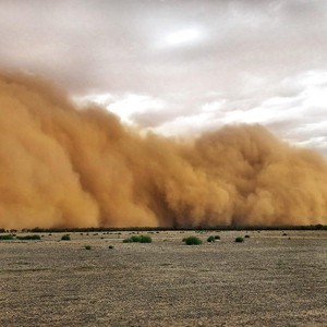 هام | تنبيه من موجة غبار إقليمية تؤثر على 9 دول عربية نهاية الأسبوع 