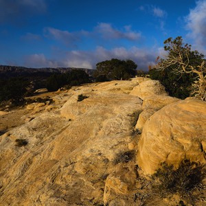 طقس صيفي معتدل نهارًا ولطيف ليلًا نهاية الأسبوع... وأجواء مناسبة للرحلات