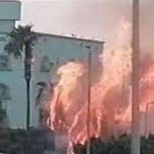 بالفيديو | صاعقة رعدية تُشعل حريق بأشجار النخيل في الطائف