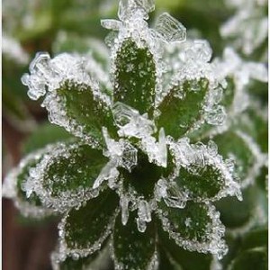 الاثنين : موجة باردة قوية على شمال غرب البلاد ومنطقة الجوف