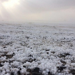 بالفيديو | عاصفة بردية قوية تُلبس شفا الطائف ثوبها الأبيض