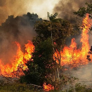بالفيديو | حريق هائل يندلع في منتزه المسقي جنوب شرق ابها والدفاع المدني يهرع للمكان