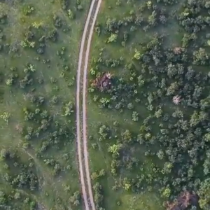 بالفيديو | أمطار الصيف تحول بعض أودية المدينة المنورة لجنات ربيعية خضراء ممتدة على مد البصر