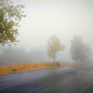 توقعات بتشكل ضباب كثيف في عدد من مناطق المملكة ليلة الاثنين/ الثلاثاء 