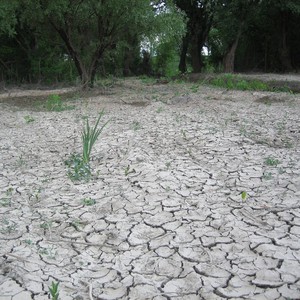 المربعانية الحالية هي الأجف منذ عشرات السنوات