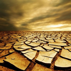 إحصائيات شباط 2014: وتستمر الكارثة!