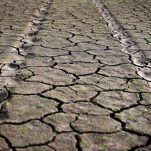 طقس العرب يُناشد المسؤولين الأردنيين إعلان حالة الجفاف