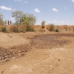 موجة الجفاف تهدد أطفال كوريا الشمالية