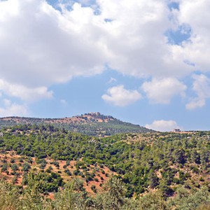 أجواء خريفية معتدلة نهاراً ومائلة للبرودة ليلاً خلال الأيام القادمة  