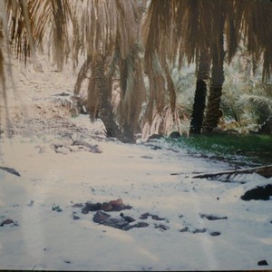 بالفيديو | الدوادمي تحت الثلوج .. مشاهد حقيقة نادرة لثلوج العام 1413هـ