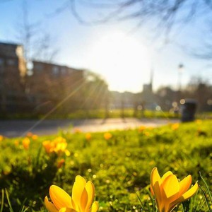 حالة الطقس ودرجات الحرارة العظمى والصغرى المتوقعة يوم الجمعة 17-5-2019