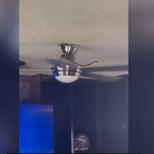 vidéo | Un serpent mène la tendance après son attaque contre une fille américaine `Tik Tok`, diffusée en direct