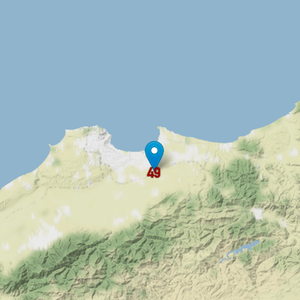 Algiers records a record high of 49°C
