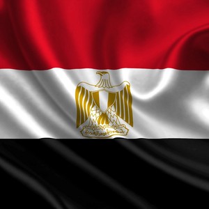 Pas un aigle.. Faits sur `l'aigle` volant sur le drapeau égyptien