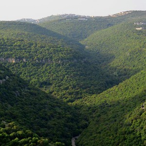 الجمعة... طقس ربيعي دافئ مناسب للرحلات والجلسات الخارجية
