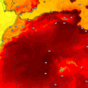 تونس | الحر يشتد .. والعاصمة قد تسجل 50 درجة مئوية غداً للمرة الأولى في تاريخها