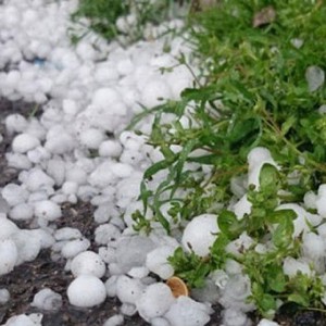 حائل والقصيم | اشتداد تأثير الحالة الماطرة عطاء ليلة الجمعة/السبت وتنبيه من غزارة الأمطار وكثافة زخات البرد