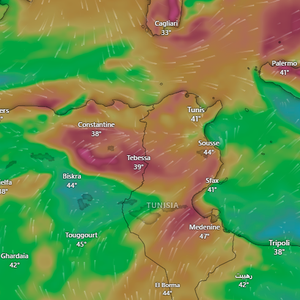 الجزائر | رياح نشطة قد تزيد من تفاقم أزمة الحرائق الساعات القادمة