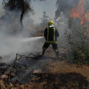 الأردن | حرائق ضخمة تلتهم أكثر من 200 دونم مساحات من غابات وديان الشام بين جرش وعجلون 