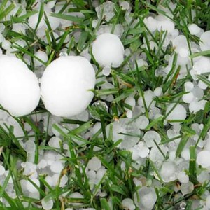 شاهد | تساقط بردي بأحجام هائلة على سوق عكاظ في الطائف