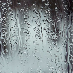 الأردن تحديث ٧:٠٠ صباحاً| ضباب كثيف و أمطار متفاوتة الغزارة الآن في مناطق عِدّة من المملكة بالتزامن مع وقت التوجه للعمل و المدارس 