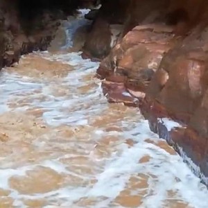 فرق البحث والإنقاذ في إقليم الجنوب تعثر على جثتي أم وابنها من الجنسية البلجيكية فقدا جراء السيول في لواء الشوبك أمس