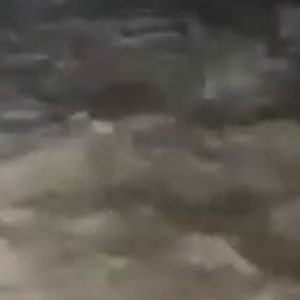 ارتفاع منسوب المياه وتشكل السيول في منطقة القويرة - العقبة