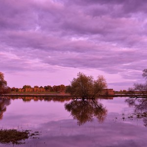 الذكاء الاصطناعي يُتيح فرصًا جديدة لمكافحة التغير المناخي