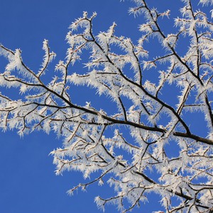 أجواء شديدة البرودة نهار الأربعاء وفرصة لزخات من الثلج في منطقة الجزيرة