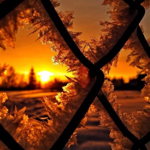 بدءاً من الجمعة.. موجة سيبيرية شديدة البرودة تؤثر وتحذيرات جديّة للمزارعين