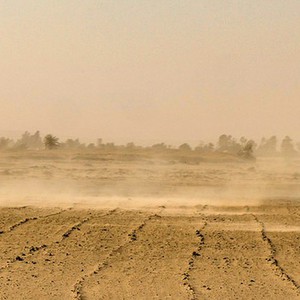 سلطنة عمان | طقس صحو في أغلب المناطق وفرص للغبار في المناطق الصحراوية