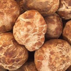 كيلو الفقع بسعر خروف ! 