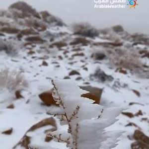 بالفيديو | ثلوج متراكمة في جبل اللوز والحرارة دون الصفر المئوي