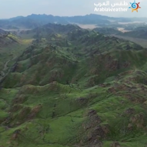 بالفيديو - مكة المكرمة | مشاهد تاريخية وغير مسبوقة لربيع مكة التاريخي والبساط الأخضر الممتد بين الجبال