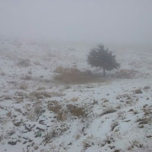 أنباء عن بداية تراكمات للثلوج على قمم جبال الشراه جنوب الأردن بعد ظهر الأربعاء