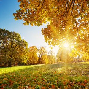 حالة الطقس ودرجات الحرارة العظمى والصغرى المتوقعة يوم الثلاثاء 21-5-2019