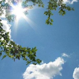 بقاء درجات الحرارة أعلى من معدلاتها بشكل واضح