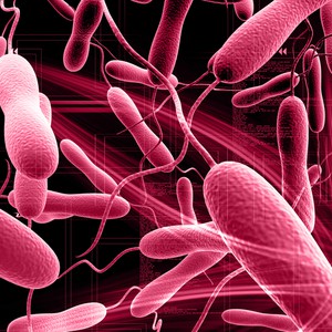 الكوليرا تقتل 118 شخص جنوب السودان ومُنظمة الصحة العالمية تدُق ناقوس الخطر