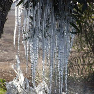 موجة باردة قوية محتملة على شمال السعودية منتصف الاسبوع القادم