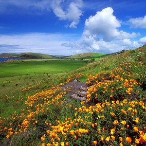 الأربعاء.. طقس معتدل نهاراً ومائل للبرودة ليلًا