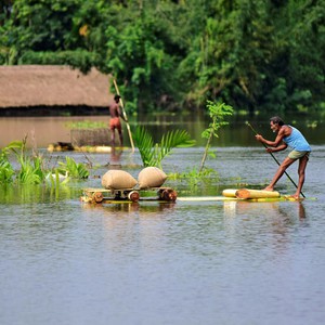 تزايد الفيضانات في شمال شرق الهند وحيوان وحيد القرن في خطر