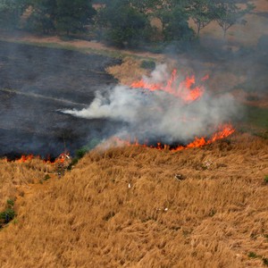  إندونيسيا... توقعات أن يساهم موسم الأمطار بإخماد حرائق الغابات