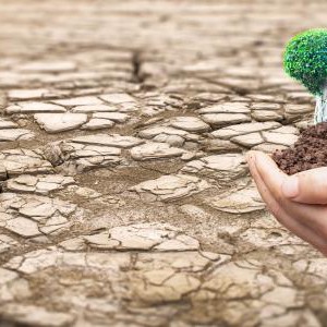 العراق | بعد موجات الغبار المتكررة.. استنفار حكومي لتنفيذ مشروع حيوي لمكافحة التصحر