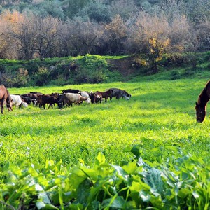 طقس الإثنين: عودة الأجواء إلى الاستقرار مع ارتفاع قليل على الحرارة