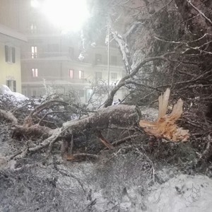 زلزال في إيطاليا يتسبب بانهيار جليدي ويقتل العشرات