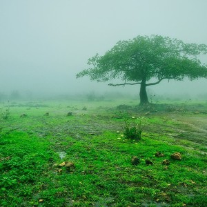 النشرة الأسبوعية.. أجواء ماطرة باردة في نصفه الأول تتحول الى ربيعية دافئة في نهايته