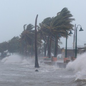 ارتفاع حصيلة ضحايا الإعصار "جاجا" جنوب الهند إلى 33 قتيلا